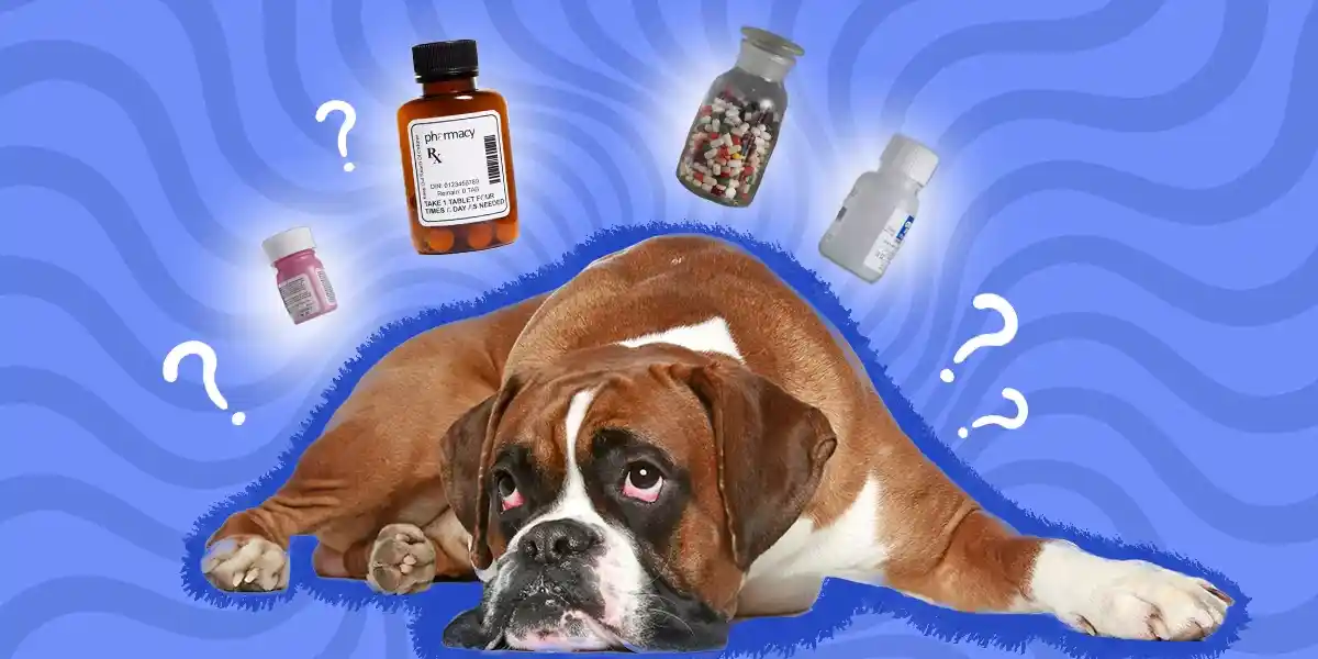 baby aspirin for dogs