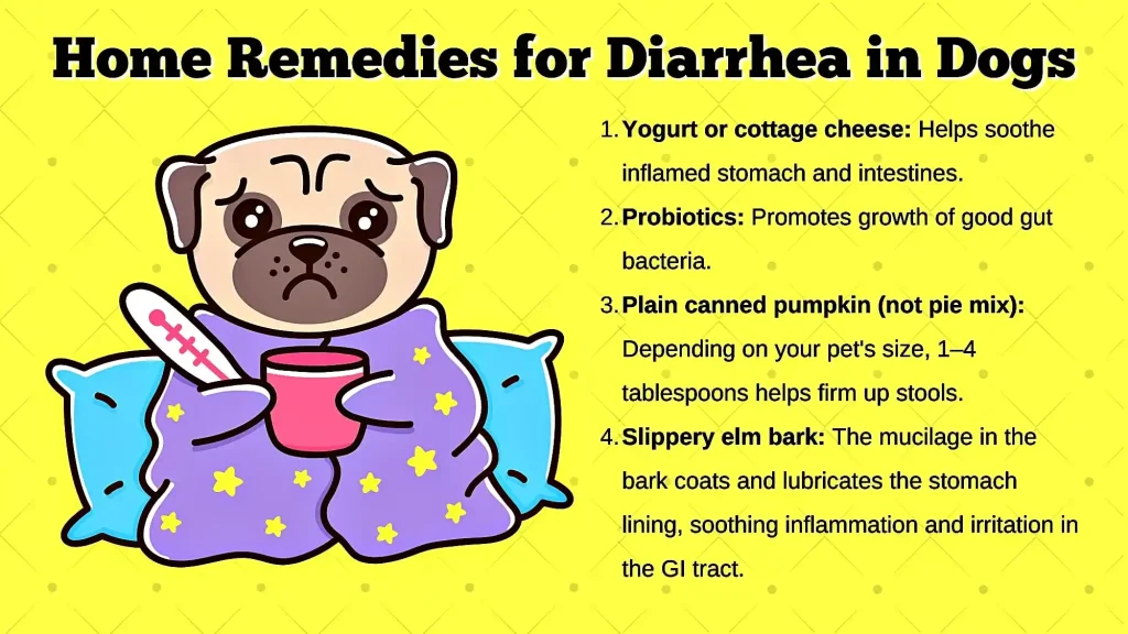 what home remedy can i give my dog for diarrhea