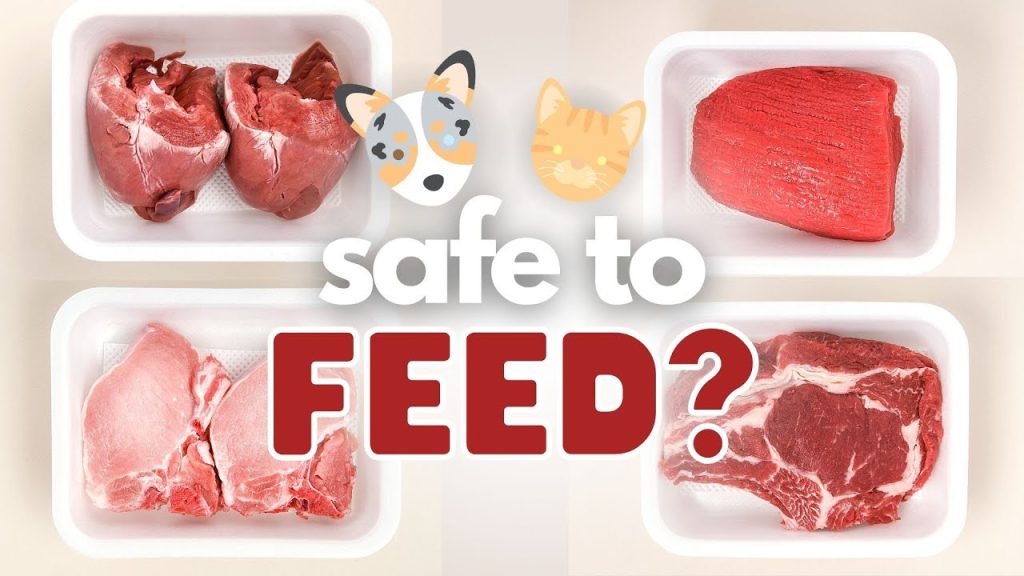 can i feed my dog raw meat from the supermarket