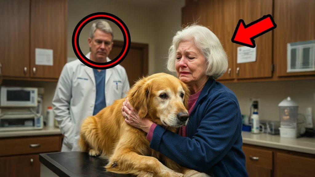will a dog with congestive heart failure die peacefully