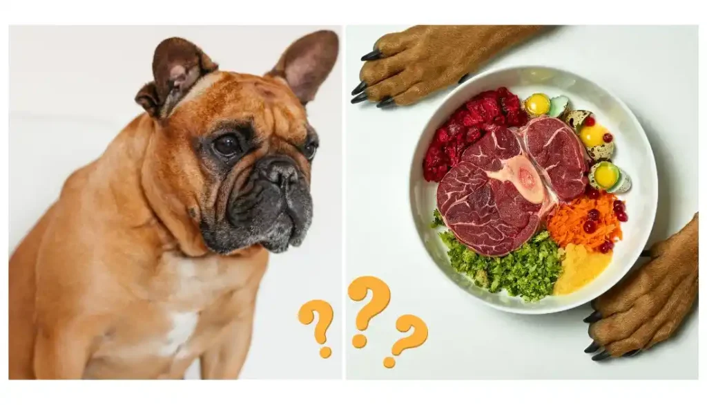 can i feed my dog raw meat from the supermarket