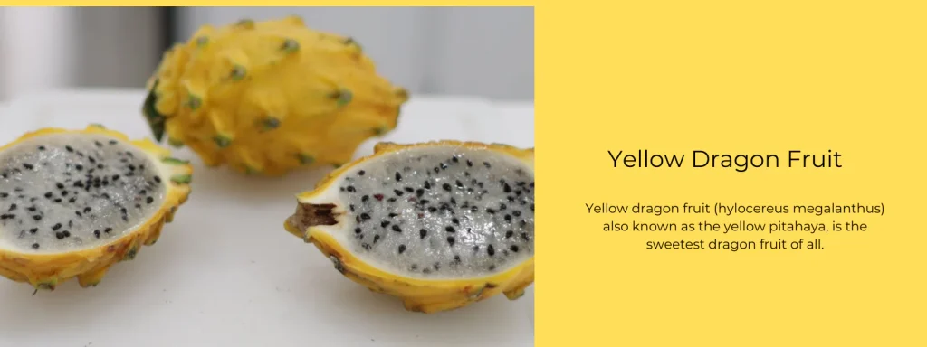 can dogs have dragon fruit