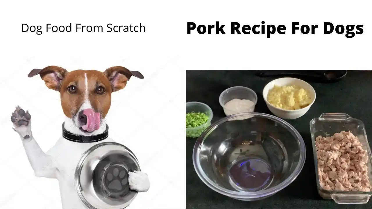 can dogs eat pork