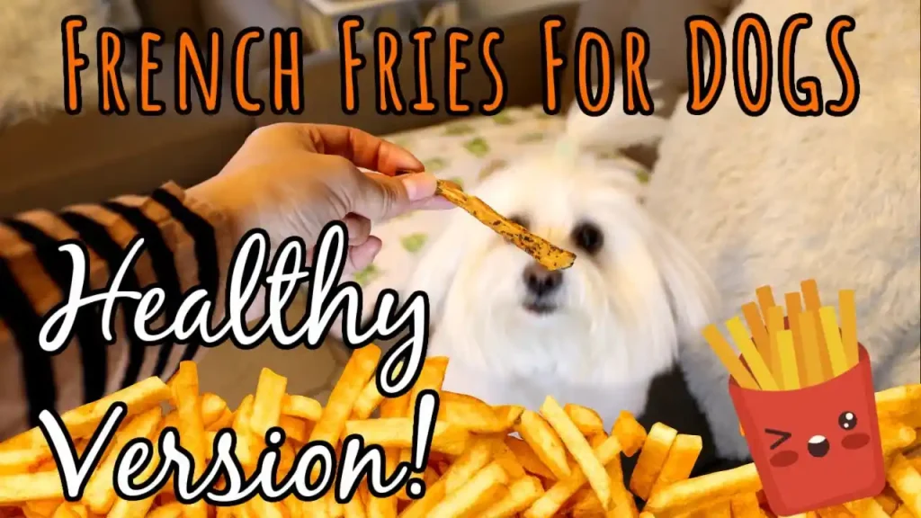 can dogs have french fries