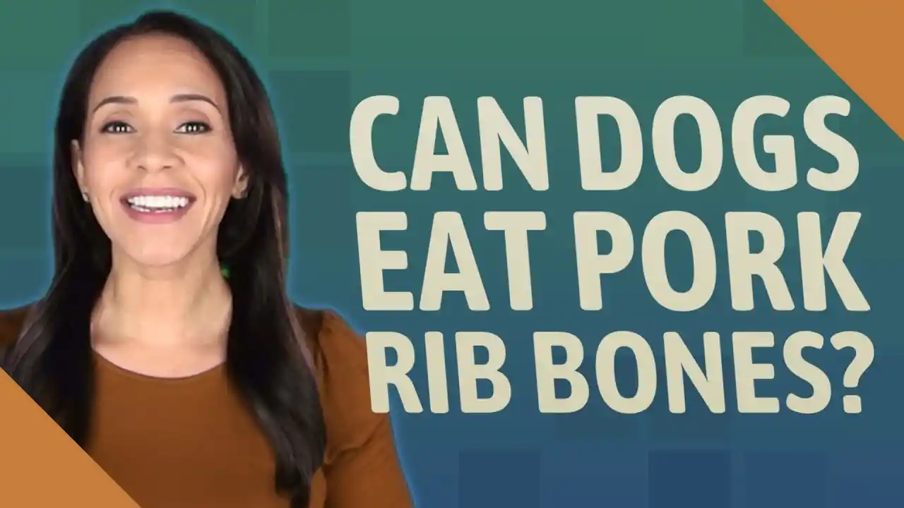 can dogs have rib bones
