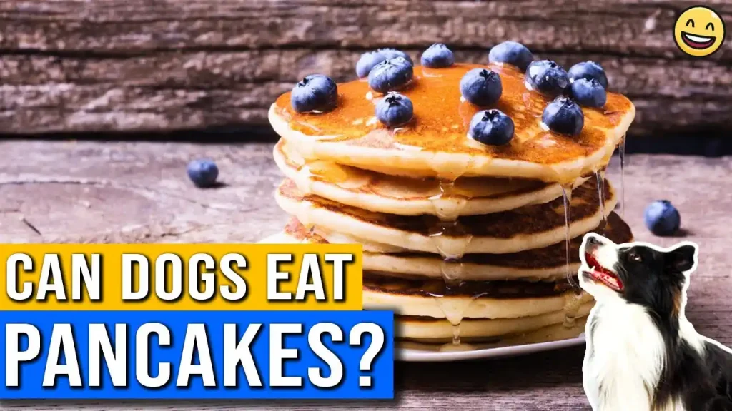 can dogs eat pancakes