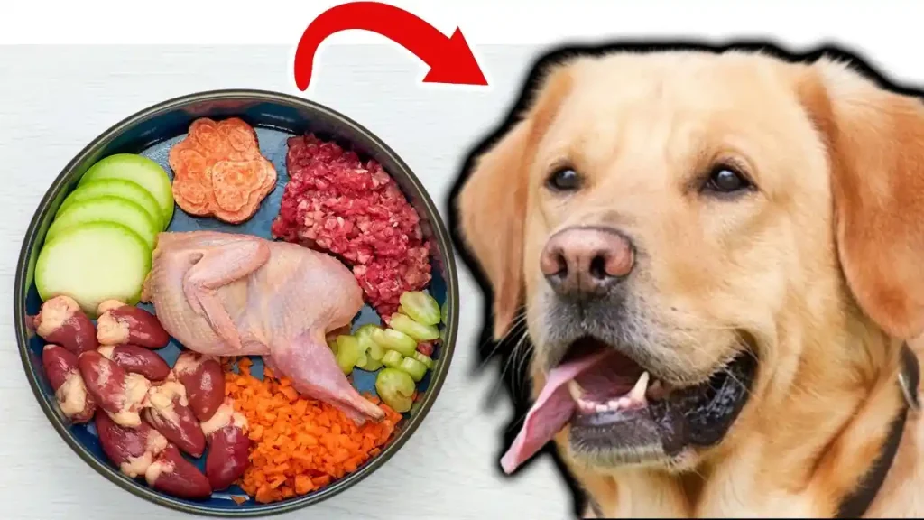 can dogs eat cilantro